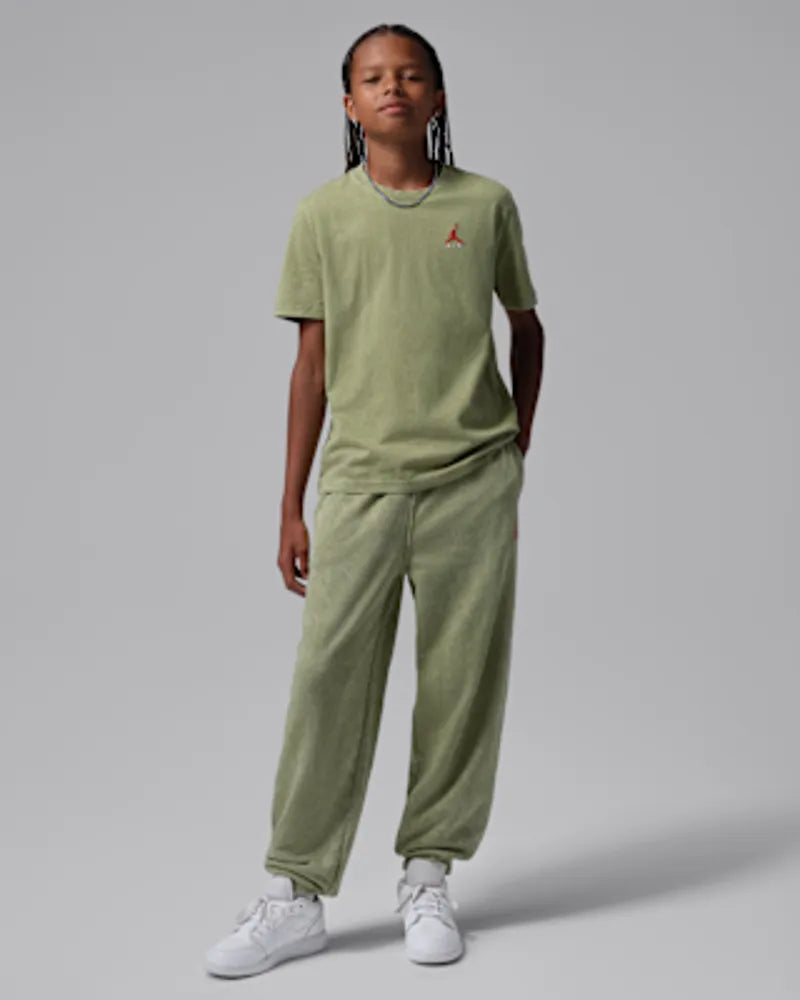 Alligator