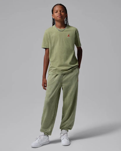 Alligator